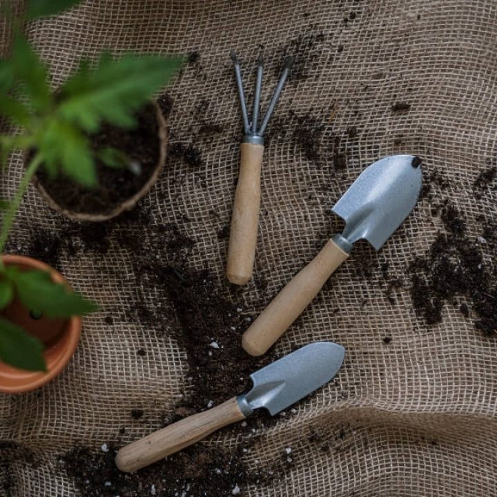 gardening-tools.jpg gardening-tools.jpg